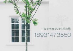 唐山仁恒湖滨城二手房在售房价多少钱一平米？